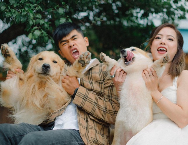 Quán cà phê gần 40 con chó hút khách ở Đà Lạt ảnh 8