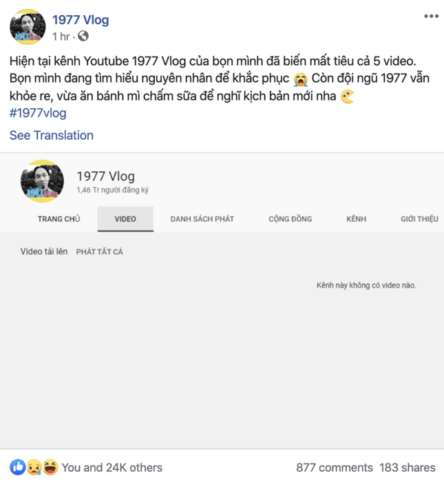 1977 Vlog mất hết toàn bộ video trên kênh: Có phải do vi phạm chính sách từ YouTube? ảnh 2