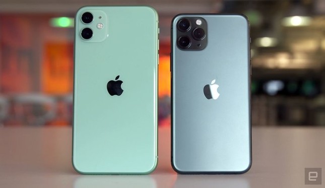 iPhone 11 giảm giá tại Việt Nam trên cả thị trường chính hãng và xách tay ảnh 1