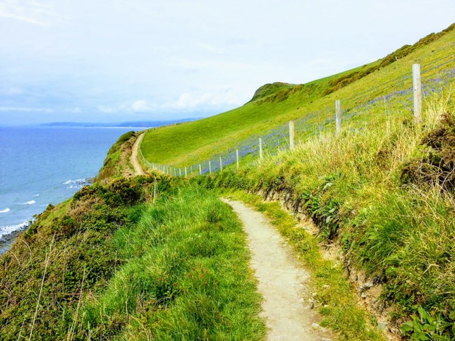 Xứ Wales trong mắt tôi: Aberystwyth – nơi giúp bạn tránh xa không khí ngột ngạt của bộn bề công việc ảnh 1