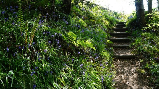 Xứ Wales trong mắt tôi: Aberystwyth – nơi giúp bạn tránh xa không khí ngột ngạt của bộn bề công việc ảnh 3