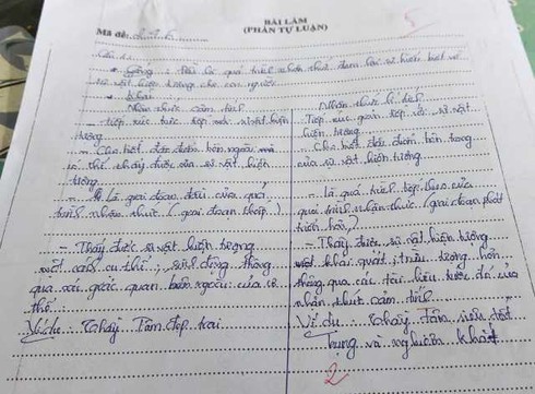 Nữ sinh lớp 10 lấy thầy giáo làm ví dụ "cực hay" trong bài thi học kỳ 1 ảnh 1