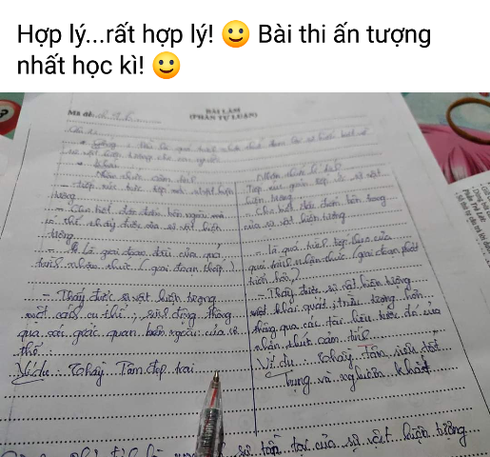 Nữ sinh lớp 10 lấy thầy giáo làm ví dụ "cực hay" trong bài thi học kỳ 1 ảnh 2