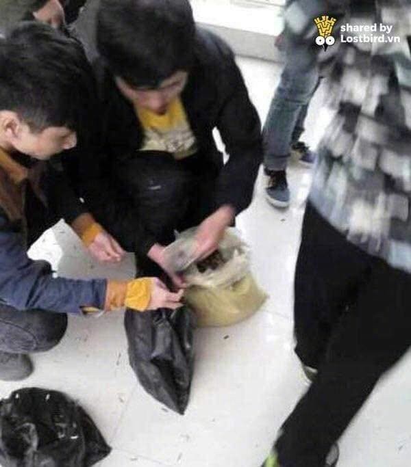 Bắt quả tang sinh viên cắn hạt hướng dương trong lớp, thầy giáo mua thêm 50kg phạt ăn bằng hết ảnh 6