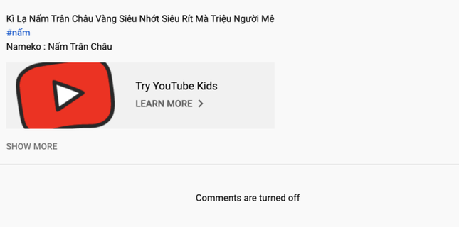 Quỳnh Trần JP nhận "án phạt" từ YouTube, bé Sa từ nay sẽ không còn xuất hiện trong mỗi video? ảnh 2