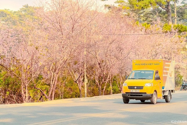 Lời "kêu cứu" của của dân mạng: "Nếu yêu Đà Lạt thì đừng biến nơi này thành bãi rác công cộng" ảnh 7