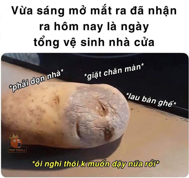 Dân mạng hào hứng chế ảnh "tuần đầu nghỉ Tết là ngày toàn dân dọn nhà" ảnh 2
