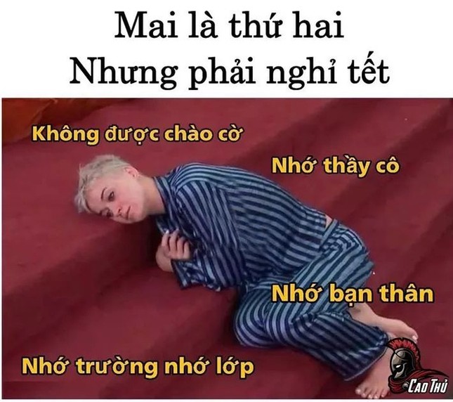 Dân mạng hào hứng chế ảnh "tuần đầu nghỉ Tết là ngày toàn dân dọn nhà" ảnh 5