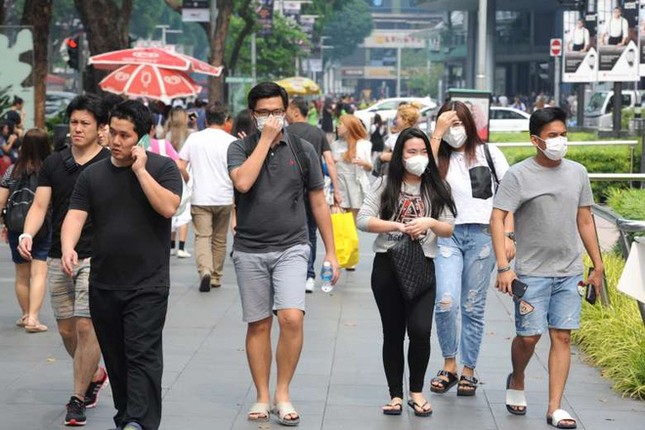 Nên chọn loại khẩu trang nào để phòng tránh lây nhiễm virus corona? ảnh 1