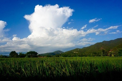 Trắc nghiệm vui: Sự nghiệp của bạn sẽ như thế nào sau khi kết hôn? ảnh 1