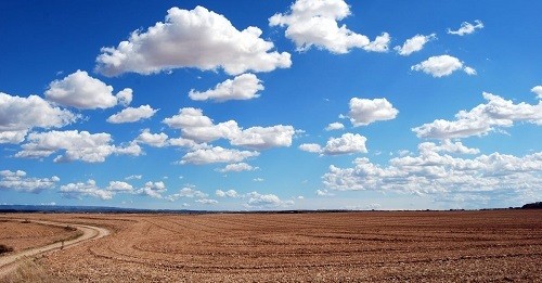 Trắc nghiệm vui: Sự nghiệp của bạn sẽ như thế nào sau khi kết hôn? ảnh 3