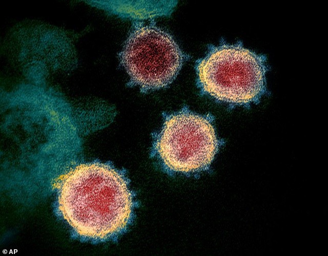Các nhà khoa học Mỹ đã hoàn thành việc chế tạo vắc-xin virus corona ảnh 1