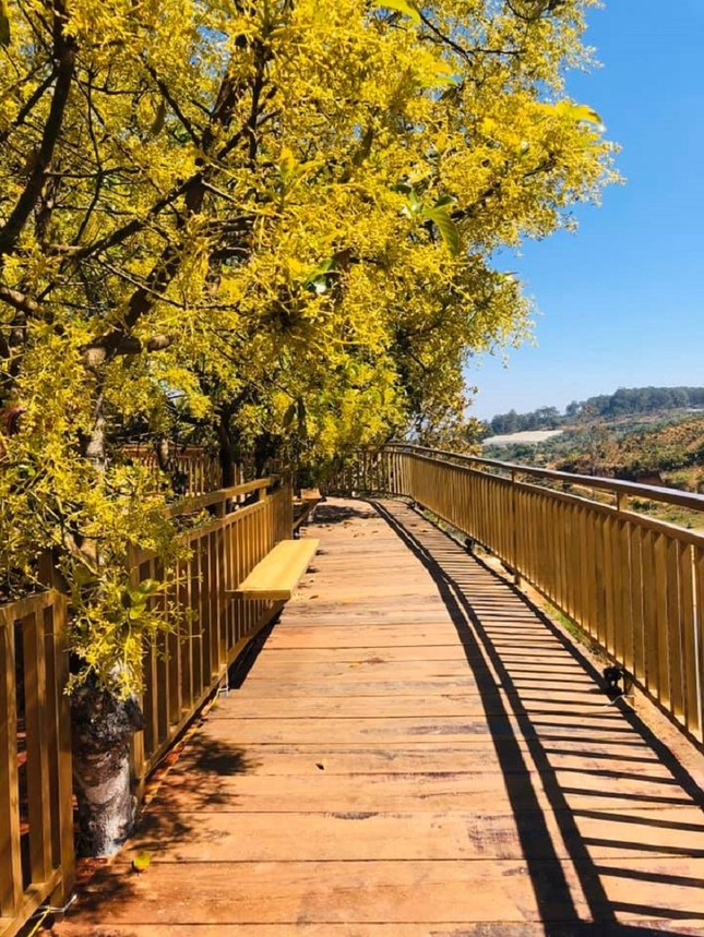 Xác định tọa độ "con đường ngôn tình" đẹp mộng mơ, được ví như "Little Korea" ở Đà Lạt ảnh 2