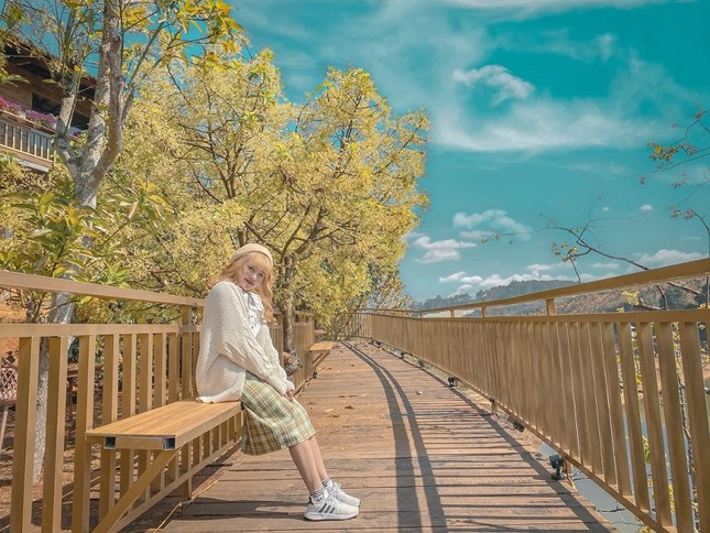 Xác định tọa độ "con đường ngôn tình" đẹp mộng mơ, được ví như "Little Korea" ở Đà Lạt ảnh 4