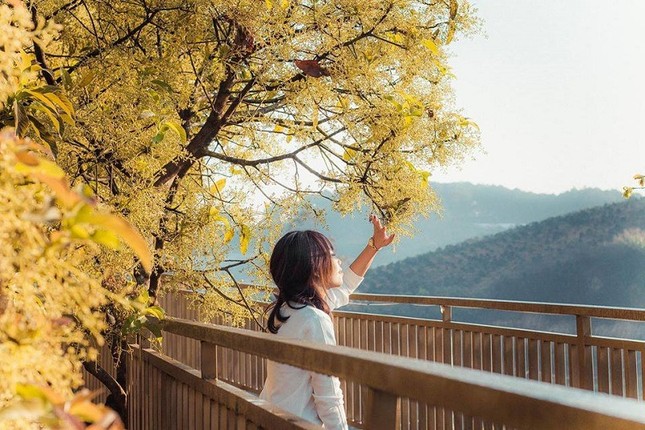 Xác định tọa độ "con đường ngôn tình" đẹp mộng mơ, được ví như "Little Korea" ở Đà Lạt ảnh 7
