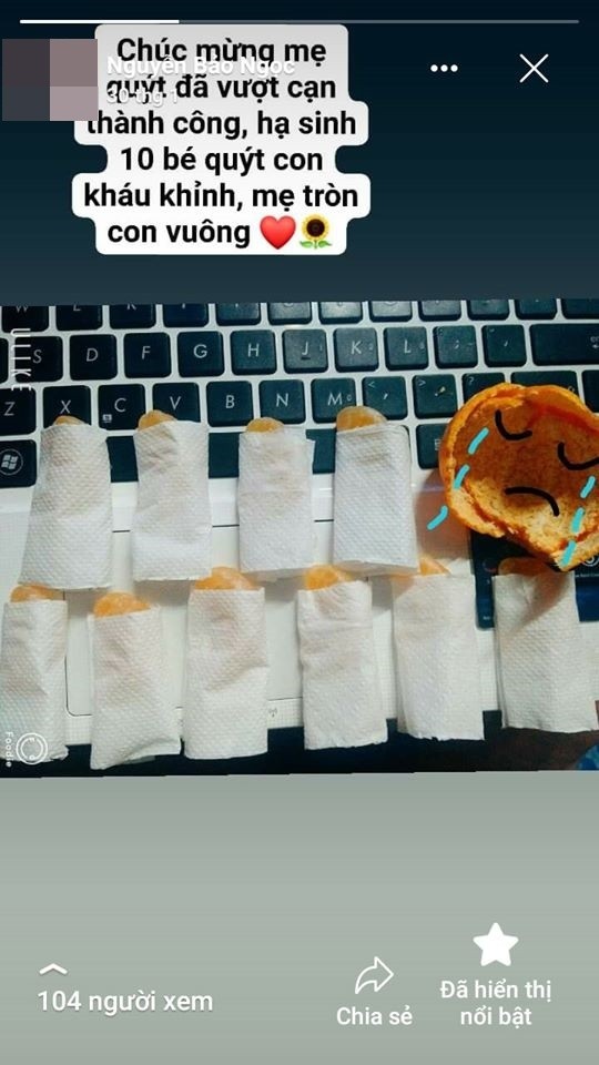 Mùa dịch hạn chế đi ra ngoài, dân mạng đua nhau "đu" trend... "mổ quýt" ảnh 4