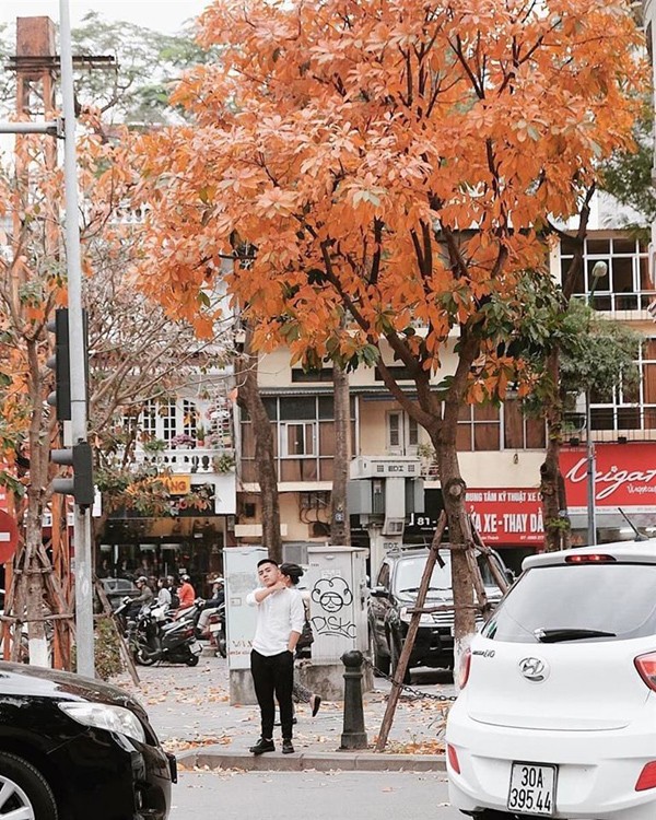 Giới trẻ thích thú chụp ảnh Hà Nội mùa thay lá đẹp ngỡ như ở trời Âu ảnh 6