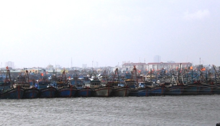 Tàu thuyền neo đậu tại Âu thuyền cảng cá Thọ Quang (Sơn Trà, Đà Nẵng) phòng tránh bão. Ảnh: Nguyễn Huy
