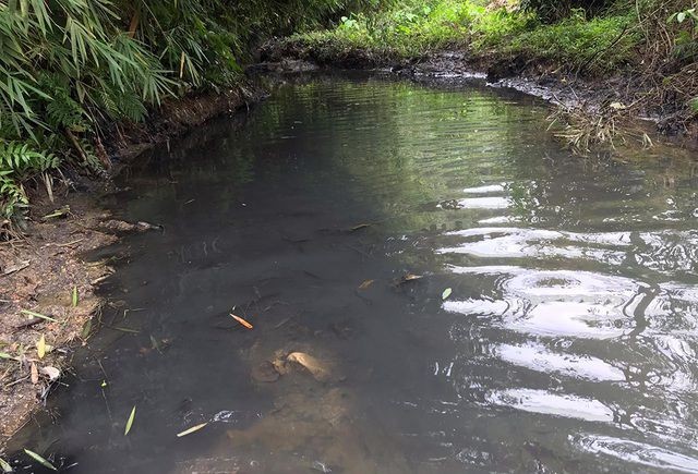 Dầu thải làm ô nhiễm suối Trâm - một nguồn nước nhà máy nước sông Đà sử dụng