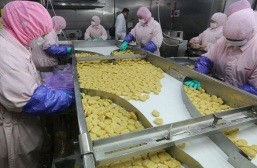 Sản phẩm Chicken McNuggets dạng thô của McDonald đang được sản xuất ở nhà máy của công ty Husi Thượng Hải Ảnh:scmp