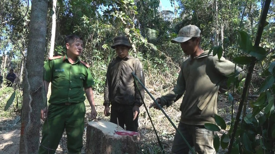 Công an liên tục phát hiện các vụ phá hoại rừng ở huyện Ea Kar