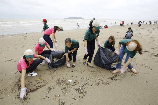 Thí sinh Hoa hậu và cán bộ, nhân viên khách sạn Mường Thanh tham gia dọn rác bãi biển Cửa Lò sau bão Sơn Tinh. Ảnh: Như Ý.