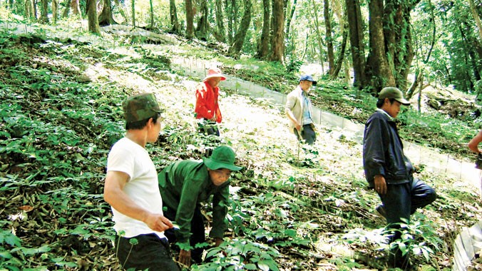 Đoàn công tác của huyện Nam Trà My và các nhà chuyên môn khảo sát đỉnh núi Ngọc Linh hồi tháng 3/2015. Ảnh: Hoàng Thọ