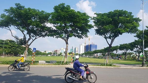 Lô đất A20 mà Đà Nẵng hủy kết quả đấu giá. 