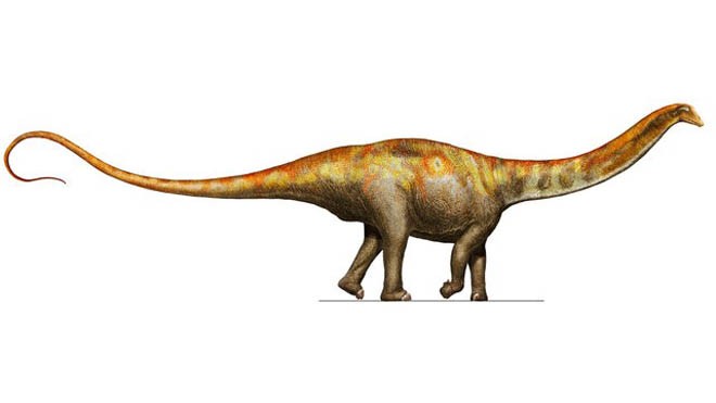 Phát hiện loài khủng long to lớn chỉ khẽ quật đuôi cũng tạo âm thanh bằng vụ nổ bom