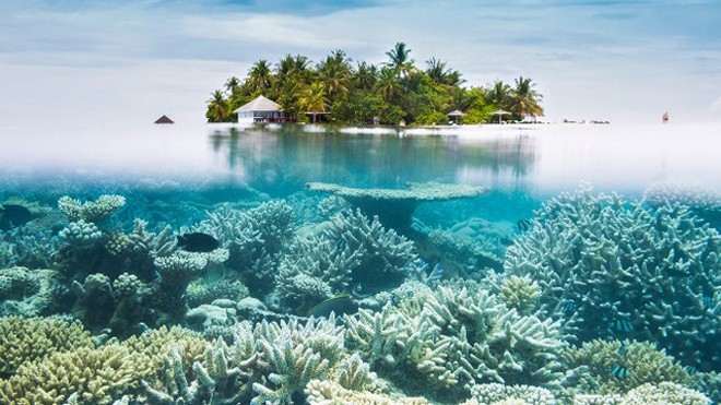 10 hòn đảo tuyệt vời nhất thế giới để bơi và lặn biển