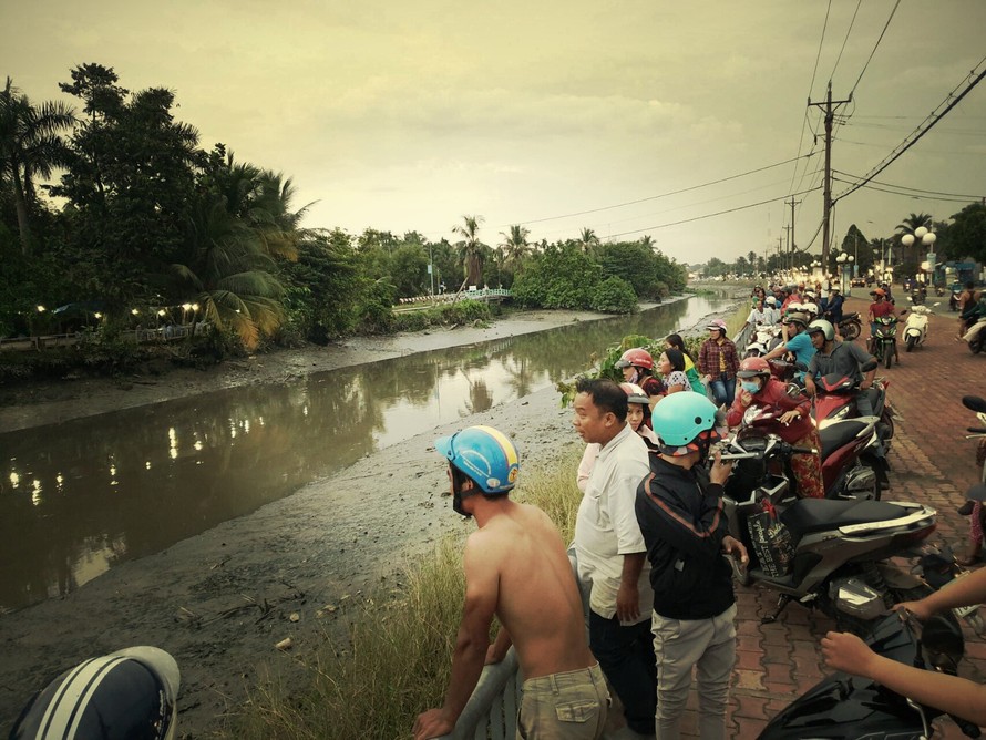 Thông tin cá sấu xuất hiện trên sông Sài Gòn là không có thật 