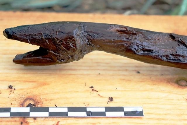 Các nhà khảo cổ học ở Phần Lan vừa khai quật được một cây trượng gỗ hình rắn hơn 4.000 năm tuổi.