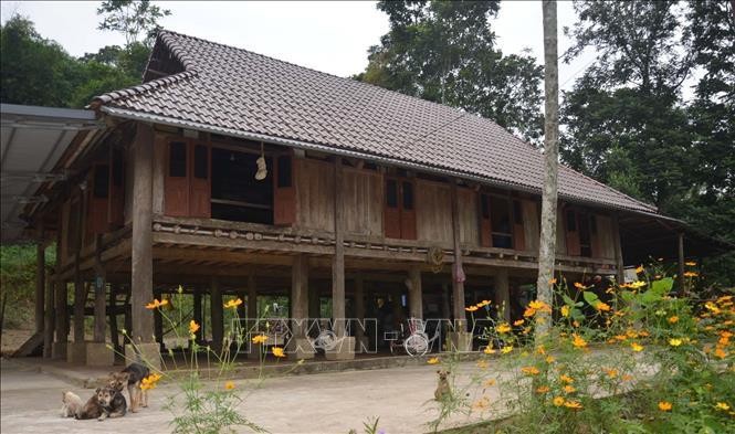 Ngôi nhà sàn của gia đình bà Phạm Thị Sáu (thôn Lập Thắng, xã Thạch Lập, huyện Ngọc Lặc) có tuổi đời gần 100 năm. Ảnh: Nguyễn Nam/TTXVN