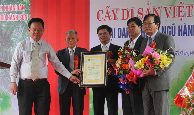 Hội Bảo vệ thiên nhiên - môi trường Việt Nam trao bằng công nhận cây di sản cho 7 cây tại khu danh thắng Ngũ Hành Sơn. Ảnh: T.T.
