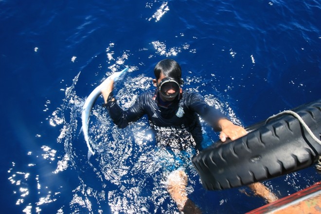Tuy nguy hiểm nhưng cho thu nhập cao nên nhiều ngư dân Lý Sơn tham gia nghề lặn bắt hải sâm. 