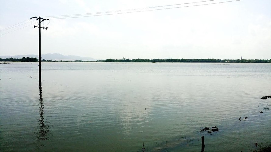 Nước gây ngập đồng ruộng ở xã Phước Hòa 