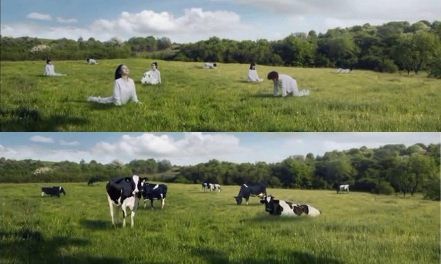 Video quảng cáo phụ nữ biến thành… bò bị chỉ trích