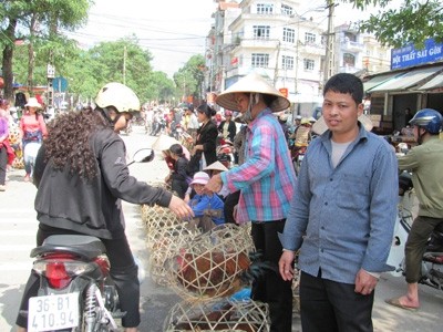 Ở chợ thành phố Lạng Sơn, khó phân biệt gà ta, gà lậu ảnh: Duy Chiến