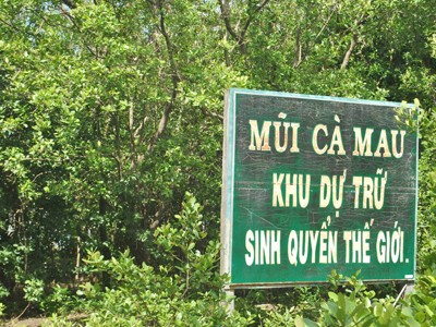 Vườn quốc gia Mũi Cà Mau nhận danh hiệu khu Ramsar