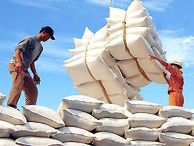 Nhập khẩu tăng đột biến trong tháng 8