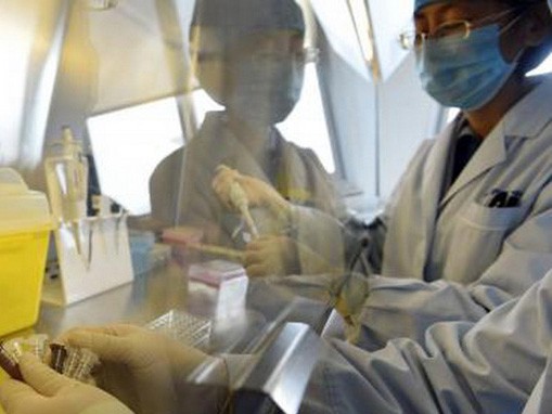 Ca thứ 14 nhiễm virút H7N9 ở Trung Quốc