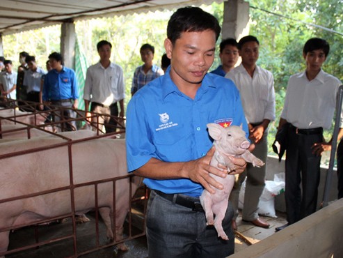 Những tỉ phú chân đất