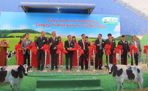 Mộc Châu có máy thức ăn cho bò đầu tiên ở Việt Nam