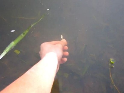 Độc đáo clip câu cá bằng tay không