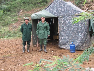 Cần chế tài mạnh chống gia cầm lậu