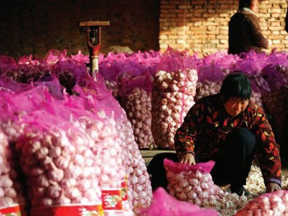 Làm ăn với Trung Quốc: Mất ít và mất trắng!