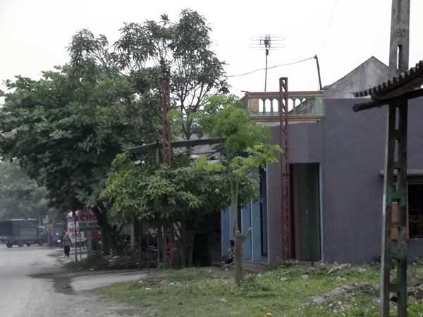 Biển quảng cáo đã được dỡ bỏ sau khi báo Tiền Phong phản ánh