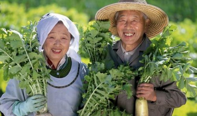  Bí quyết giúp người Nhật sống thọ trăm tuổi