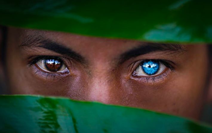 Một thành viên của tộc người Buton với một bên mắt màu xanh và một bên mắt nâu. (Ảnh: Masable)