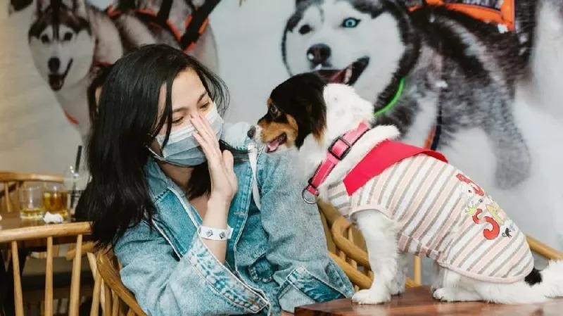 Đối xử tốt với chó mèo sẽ biết thương lấy con người 